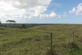 fazenda a venda arraial d'ajuda oportunidade